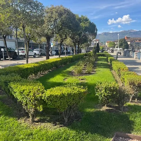 Terrace Maggiore Apartment